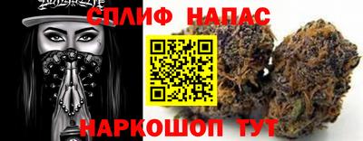 прущие грибы Комсомольск-на-Амуре