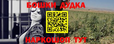 прущие грибы Комсомольск-на-Амуре