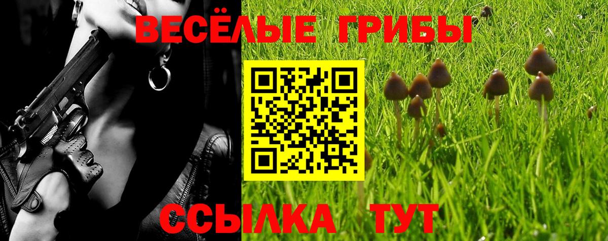 Псилоцибиновые грибы Cubensis  Вход с VPN  Кизилюрт  Галлюциногенные грибы Psilocybe 